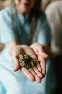 Close Up Photo of Dried Weed on Person's Palms