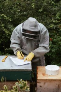 Unrecognizable apiarist in protective uniform standing near beehives and writing information on paper while working