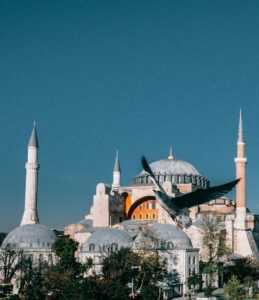 Picturesque aged Hagia Sophia cathedral with dome and minarets located in Istanbul against blue sky with flying bird in city