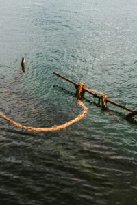 A wooden pole in the water with a rope attached